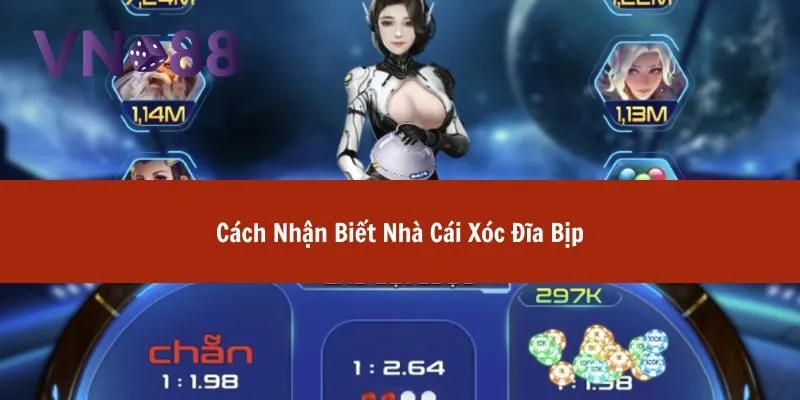 Xóc Đĩa Trực Tuyến Có Bịp Không? Cách Nhận Biết Và Phòng Tránh 3 xóc đĩa trực tuyến có bịp không